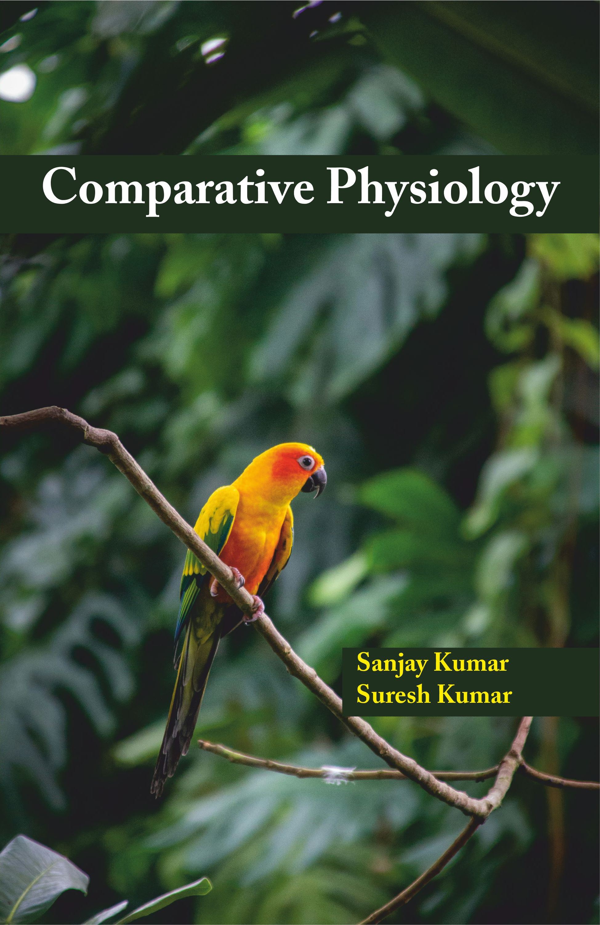 Counseling and Psychotherapy